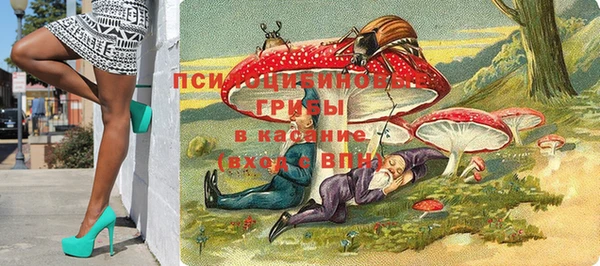 2c-b Дмитровск