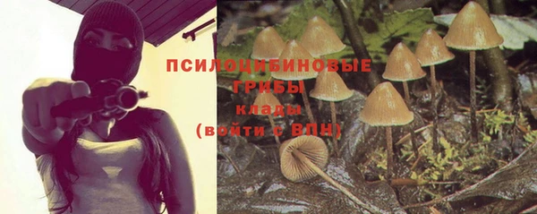 кокаин колумбия Дмитриев
