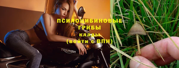 2c-b Дмитровск