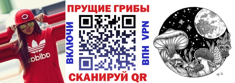 Купить закладки  Заволжск  Галлюциногенные грибы прущие грибы 